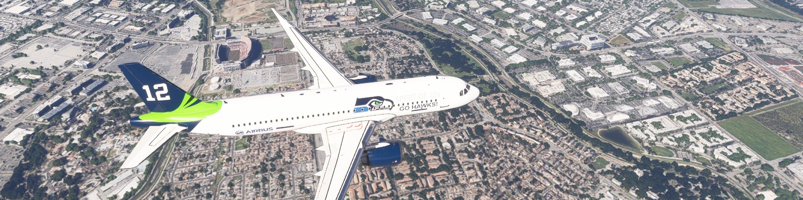 Seahawks Superbowl Celebration Flight